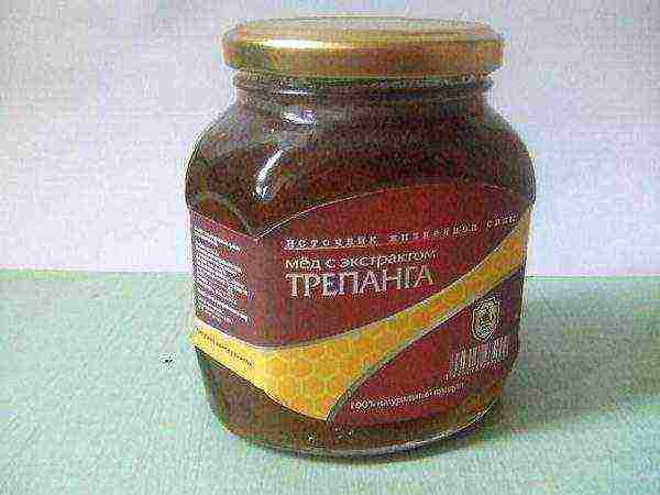 Мед с экстрактом трепанга