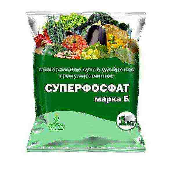 Виды подкормок для картошки