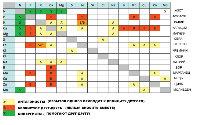 как выращивать виноград в теплице из поликарбоната