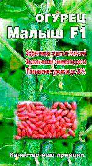 кустовые огурцы лучшие сорта
