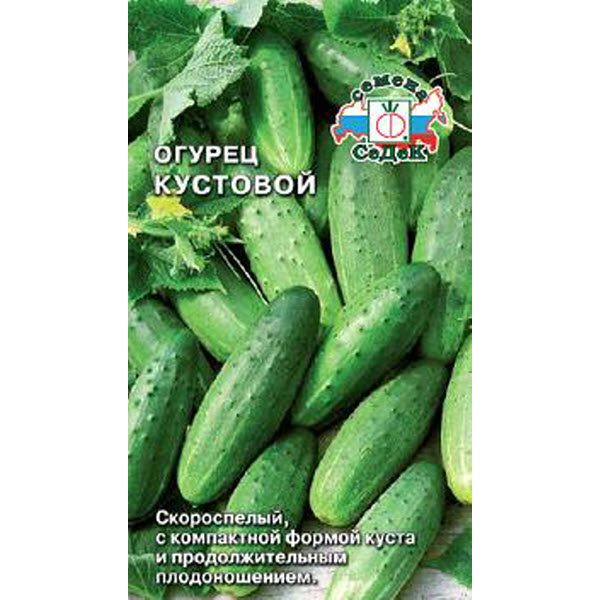 кустовые огурцы лучшие сорта