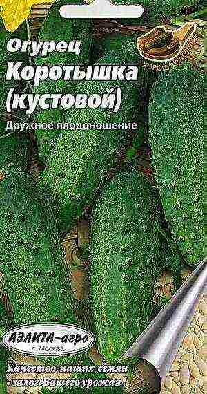 кустовые огурцы лучшие сорта