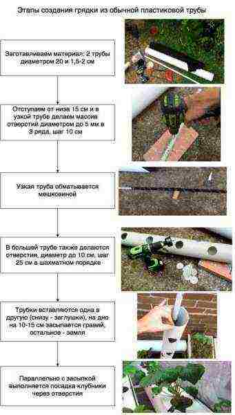 можно ли клубнику выращивать в пластиковых бутылках