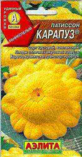 патиссоны сорта лучшие