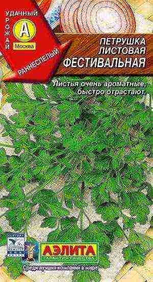 какой сорт петрушки лучше