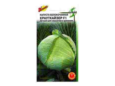 лучшие голландские сорта капусты