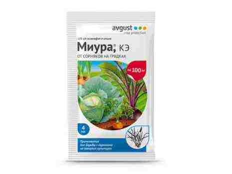 лучшие голландские сорта капусты