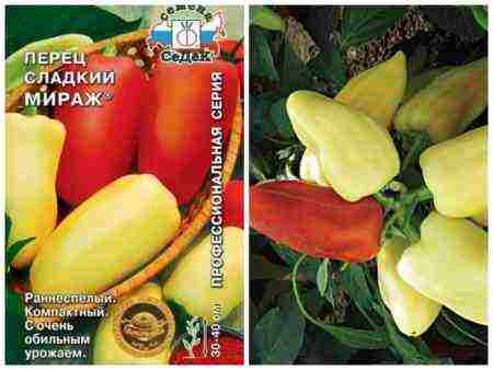 лучшие сорта перцев голландских