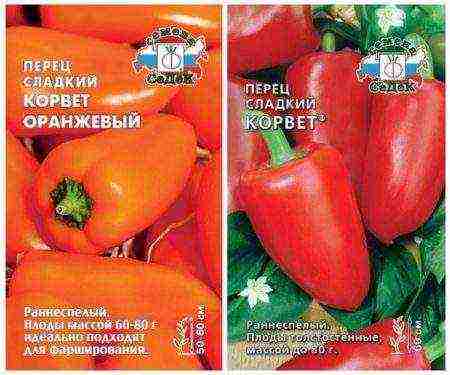 лучшие сорта перцев голландских